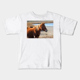 Assateague Beach Ponies - Series - 05 Kids T-Shirt